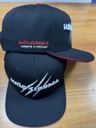 Cap WILD SIBERIA 02.2025 (2)