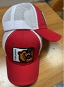 Cap bear Metallurg NK 2025