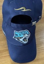 Cap HC Barys blue 2 23.11.13