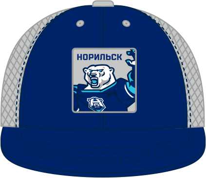 Snapback HC Norilsk grey setka 25.12.01