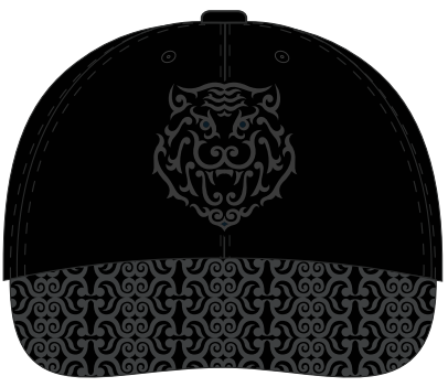 HC Amur cap 1