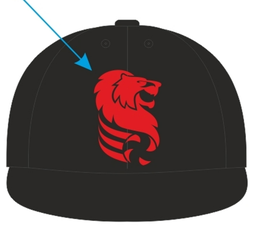 Cap BLG black