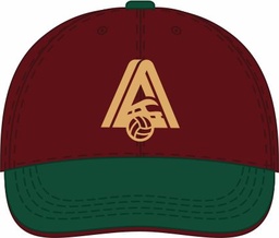 Cap VC Lokomotiv bordo 26.06.17